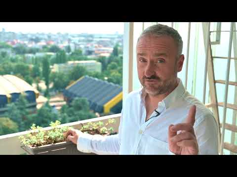 TUŠT biljka z a snižavanje HOLESTEROLA, TRIGLICERIDA, ŠEĆERA za zdravlje SRCA i KRVNIH SUDOVA