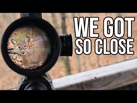 Why Is Hunting So Hard . . .