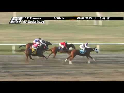 SINT COLONIA -  230706 c11 - JAZMIN BLANCO