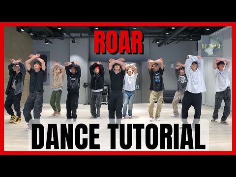THE BOYZ - ‘ROAR’ Dance Practice Mirrored Tutorial (SLOWED)