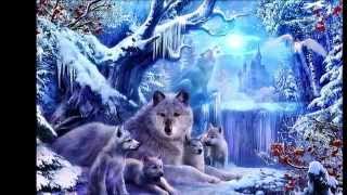 Solid - Robin Gibb (50 St. Catherine's Drive)