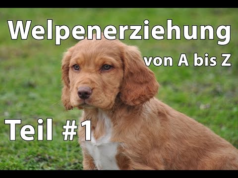 Takloneks die Behandlung der Schuppenflechte Atopitscheski die Hautentzündung die Kennziffern des Blutes