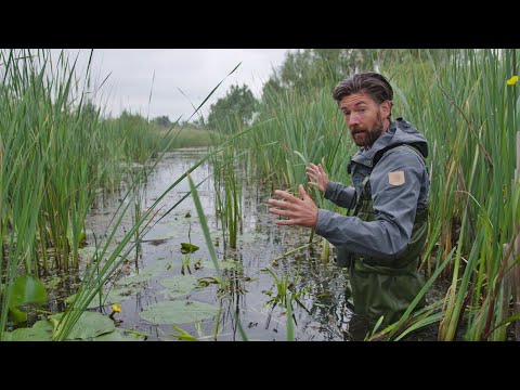 BuitenGewoon 20 juni 2020 - Natuur in de Hollandse delta
