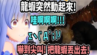 [Vtub] 最近雞蛋漲價了?