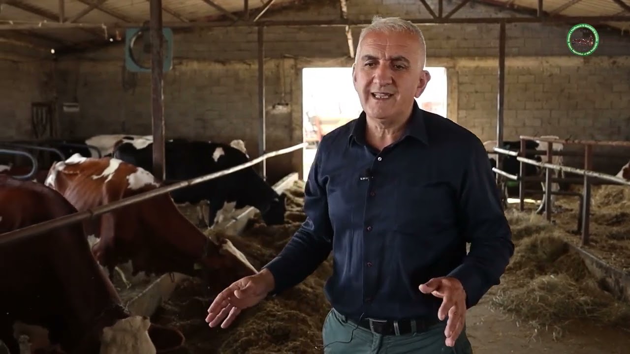 Menaxhimi i fermave të lopëve qumështore