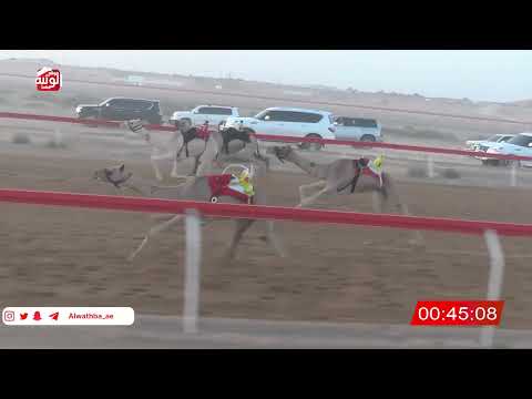  ش 5 (الشاهينيه) لـ حمد سعيد بالطير العامري 2:18 ، شارة صندوق حلفه 2026/05/31 فطامين الجبيب
