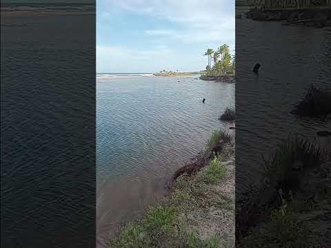 Península de maraú Bahia Brasil