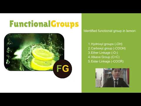 CHM207 ACTIVE COMPUND IN LEMON (AS1163B)