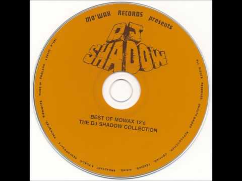 DJ Shadow- Sent Them (feat. Asia Born)