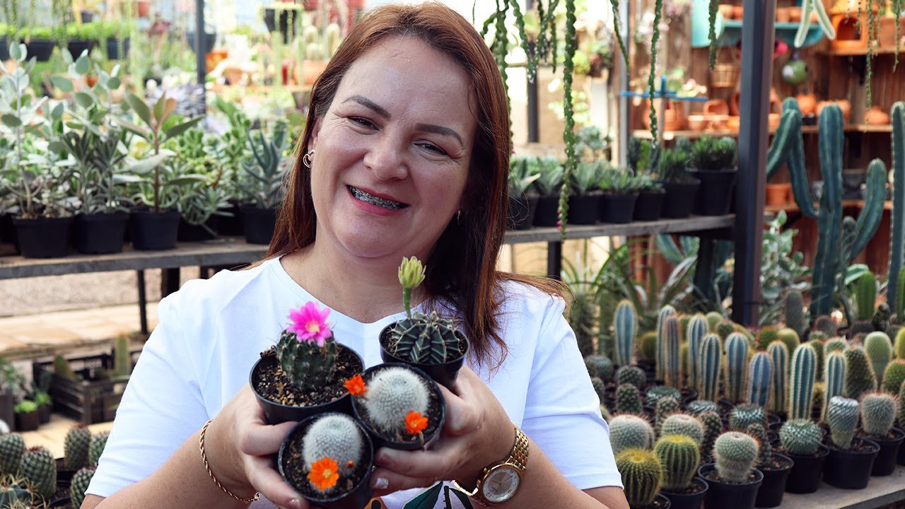 FAÇA ASSIM E SEUS CACTOS IRÃO ENCHER DE FLORES EM "POUCOS DIAS"