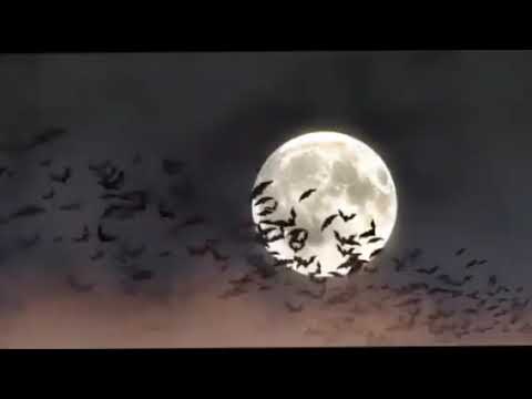 Dayin ha Manga Sunnah sin Rasul - pah Shaykh Jackariya Mohammad (Tausug) 03