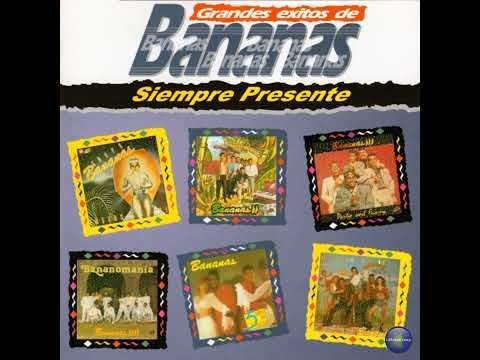 Grupo Bananas - No Me Busques (Oficial Audio)