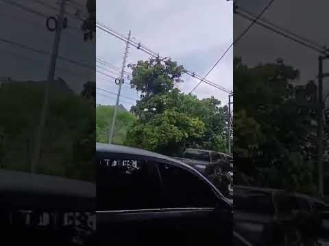 Se presentó combate entre el Ejército y grupo armado en una carretera de Puerto Valdivia, Antioquia