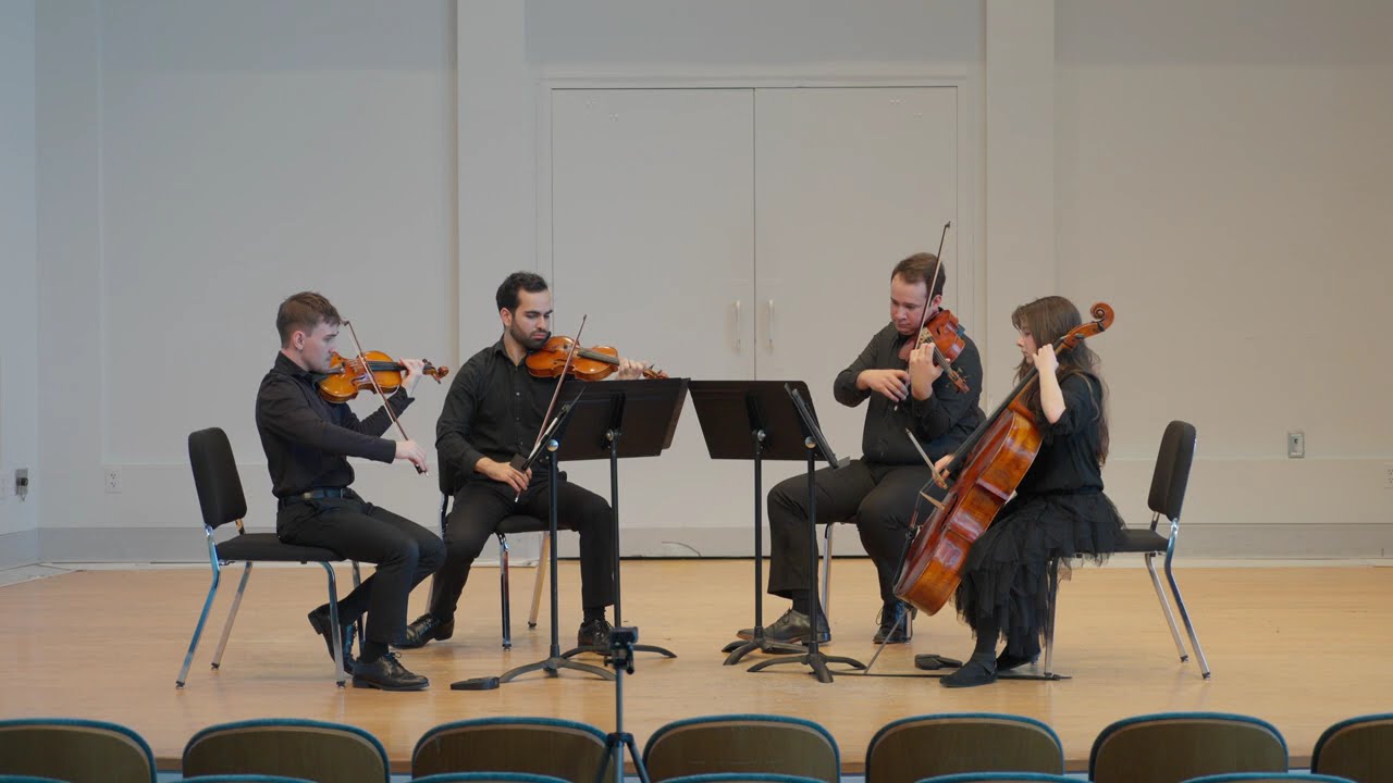 Promotional video thumbnail 2 for Noah Eagle Violist
