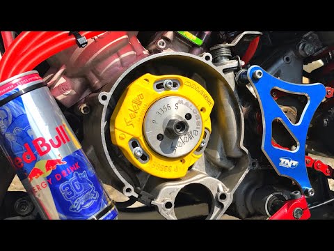 SELETTRA MHR TEAM! [TPR 86]