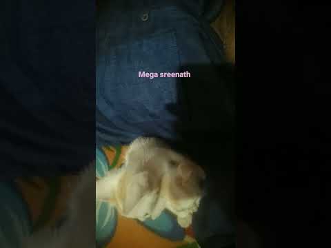 mega sreenath subscribe