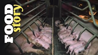 Thumbnail del capítulo