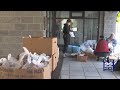 Pioneer Valley Worker S Center Distributing Food To Immigrant Workers