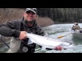 Fishing for Steelhead