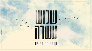 קובי גרינבוים - שלוש עשרה | Kobi Grinboim - Thirteen