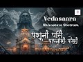 Vedasaara Shivastava Stotram | Pashunam Patim Papanasham | Adi Shankaracharya | Shree Dhun