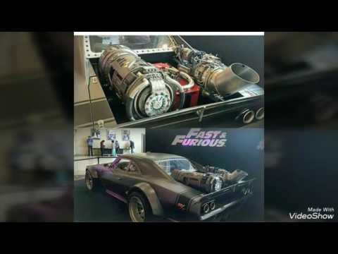 Salve opaleiros do mundo