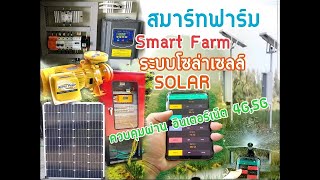 ระบบ รดน้ำ ต้นไม้ ระบบด้วยมือถือ  Smart farm ใช้พลังงานจาก  ระบบ แผงโซล่าเซลล์