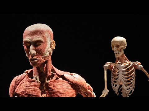 รูปภาพ ดาวโหลด Google Youtube SEO