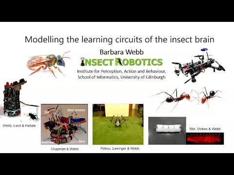 Barbara Webb - Modeling the learning circuits of the insect brain