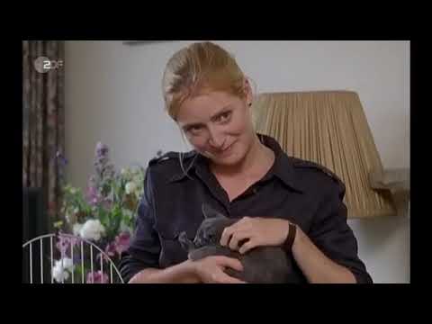 Inspector Barnaby  -Blutige Anfänger ( Viel Spaß mit  Tom Barnaby und seinem frechen DCI Troy :-))