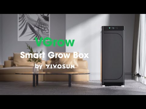 Youtube video preview