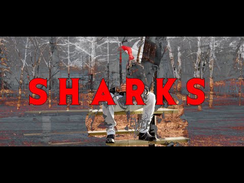 Pureverb - SHARKS (Official Music Video)