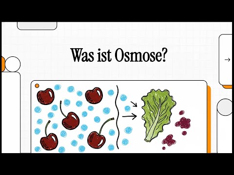 Was ist Osmose? | EINFACH ERKLÄRT