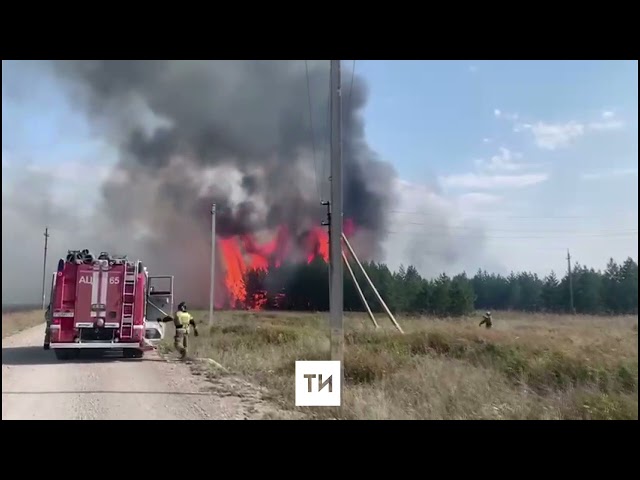 В Татарстане сгорело 5,5 тысяч кв. метров леса