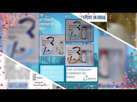 BFMOX-C Amoxycillin Cloxacillin Injection