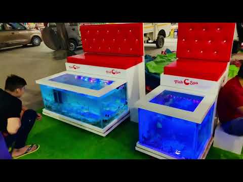 Fish pedicure