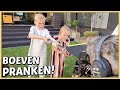 KiDS GAAN DE BOEVEN PRANKEN iN DE FiLM ? | Bellinga Vlog #2475