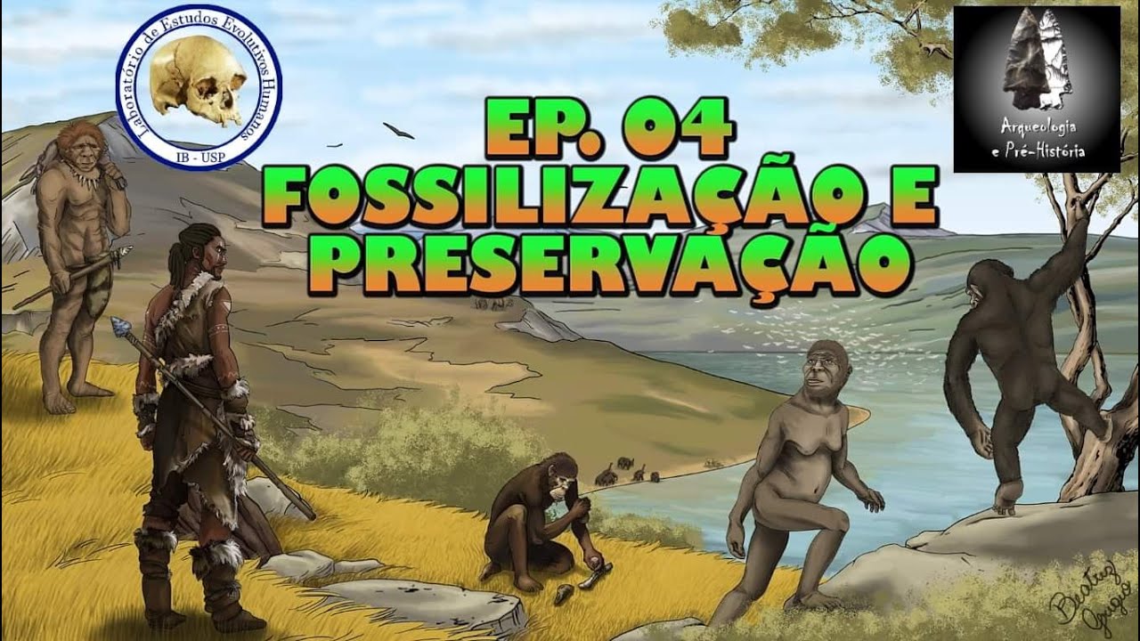 Fossilização e Preservação | Série Evolução Humana | Ep. 04