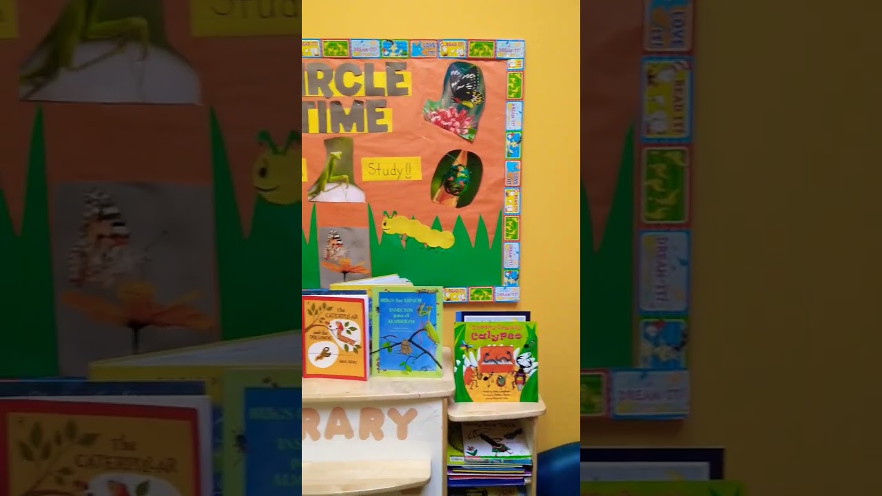 Insect Study Theme Board and Books! #Prek #Classroom #Teacher #Insects #Class #Kids