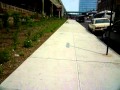 Chasing a Pigeon Until It Couldn't be Chased Anymore