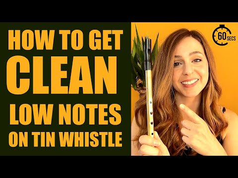HITTING THE LOW NOTES SMOOTHLY | 60 SEC TIN WHISTLE TIPS