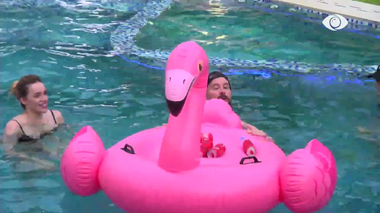 Atmosferë fantastike në shtëpi, banorët shijojnë Coca Cola në pishinë