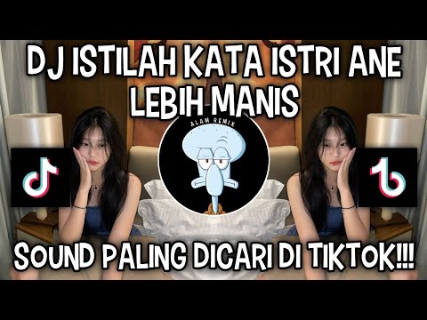 DJ ISTILAH KATA ISTRI ANE LEBIH MANIS | BY DJ RENDY VIRAL DI TIKTOK ‼️