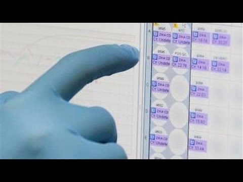 Zika virus outbreak raises questions of quarantine