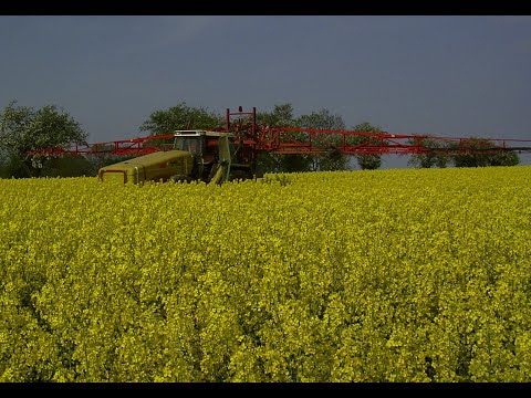 183. Feldexkursion: Blütenspritzung im Raps? - NU Agrar, 05.05.2021