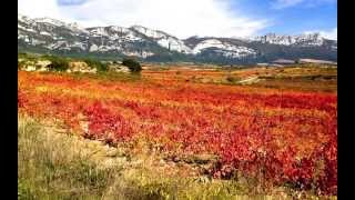 preview picture of video 'Eskuernaga, Rioja Alavesa, Otoño 2013 después de la Vendimia'