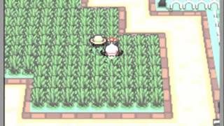 Pokemon Soul Silver [Part 18: National Park &amp; Pokeathlon Dome]