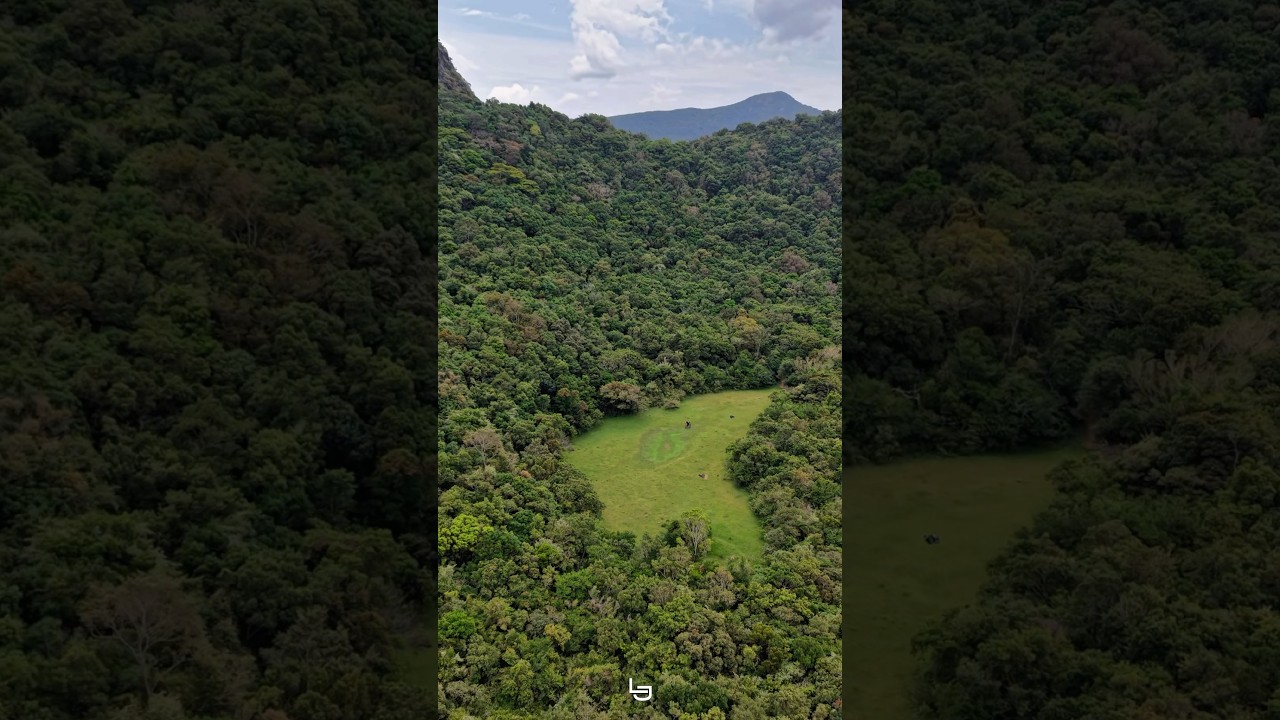 YouTube Short thumbnail