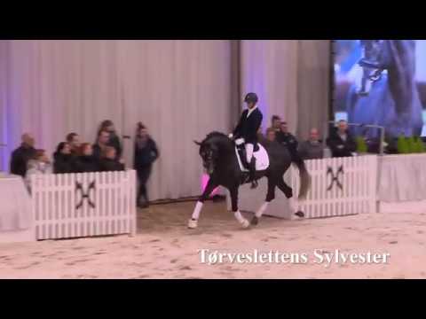 Tørveslettens Sylvester by Sezuan/Stedinger