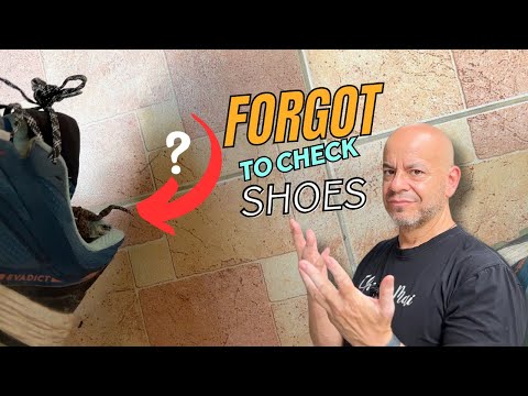 Always Check Your Shoes in Chiang Mai Thailand